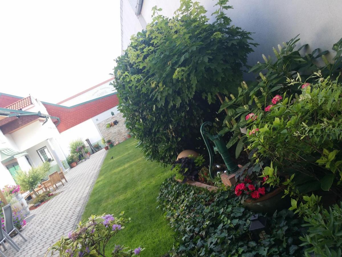Weingut Apartment Hildegard Gangl Illmitz Eksteriør bilde