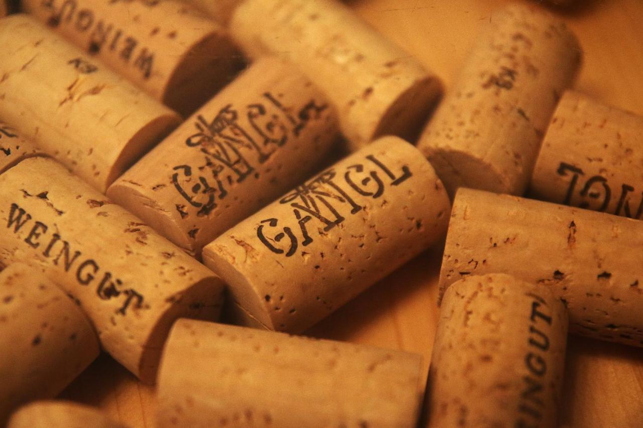 Weingut Apartment Hildegard Gangl Illmitz Eksteriør bilde