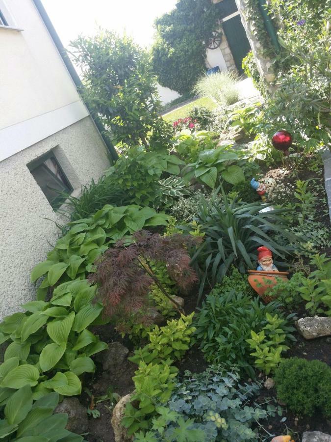 Weingut Apartment Hildegard Gangl Illmitz Eksteriør bilde